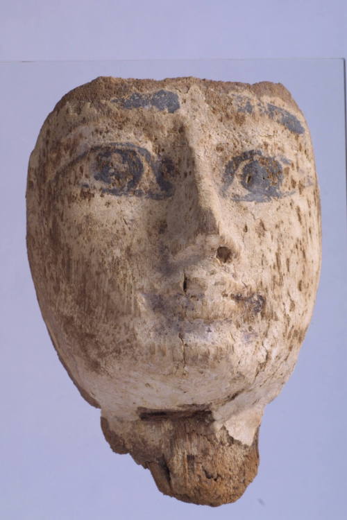 Courtesy of the Georges Ricard Foundation and the California Institute of World Archaeology