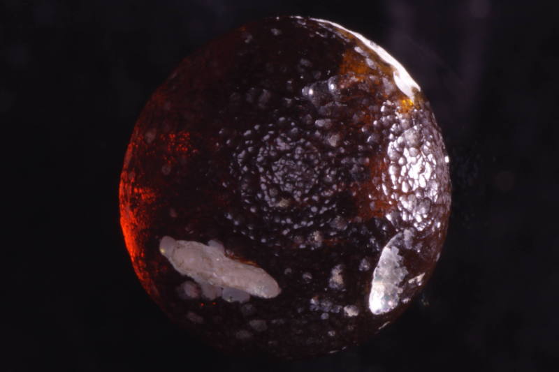 Courtesy of the Georges Ricard Foundation and the California Institute of World Archaeology