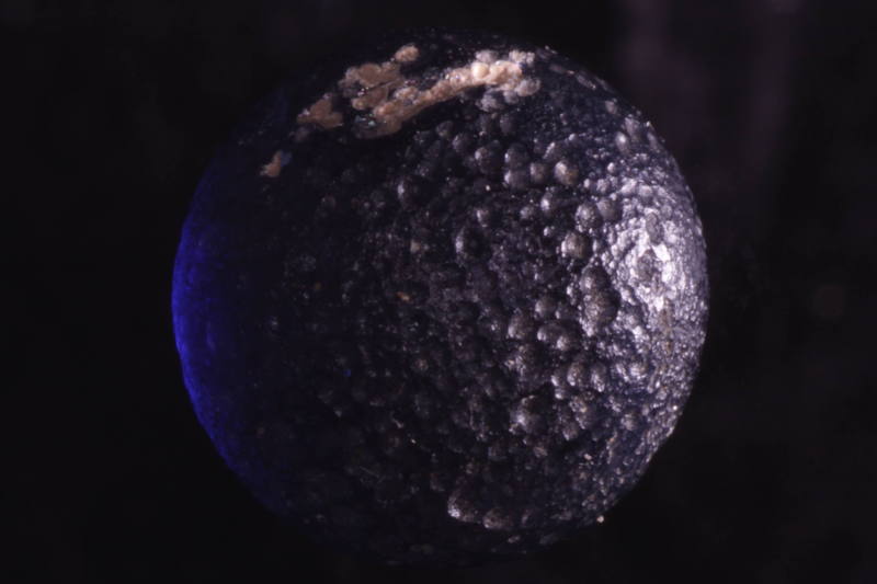 Courtesy of the Georges Ricard Foundation and the California Institute of World Archaeology