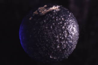Courtesy of the Georges Ricard Foundation and the California Institute of World Archaeology