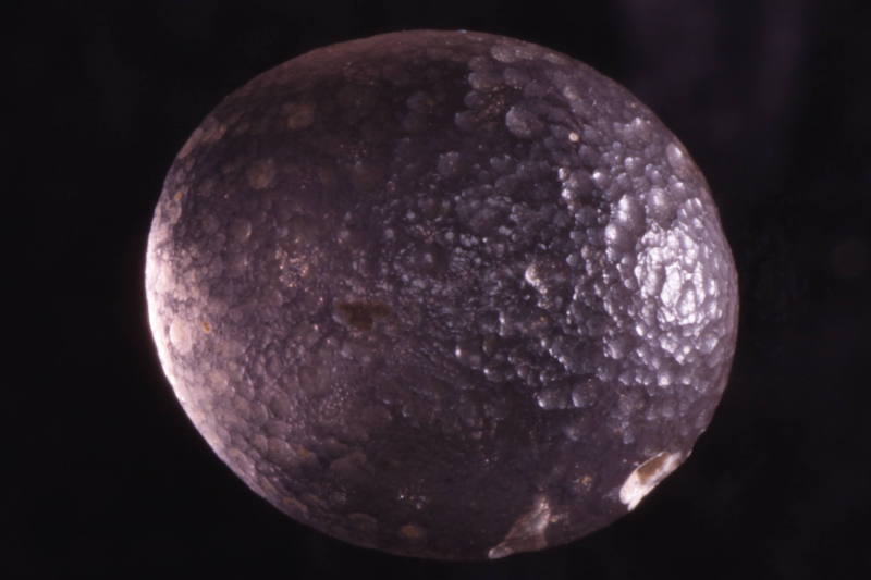 Courtesy of the Georges Ricard Foundation and the California Institute of World Archaeology