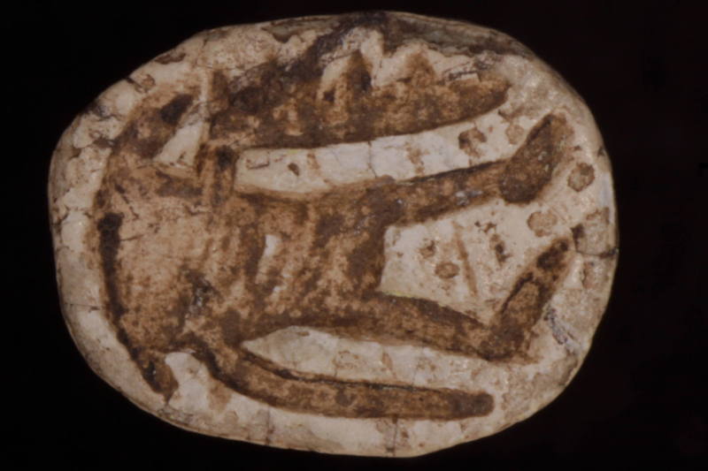 Courtesy of the Georges Ricard Foundation and the California Institute of World Archaeology