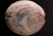 Courtesy of the Georges Ricard Foundation and the California Institute of World Archaeology