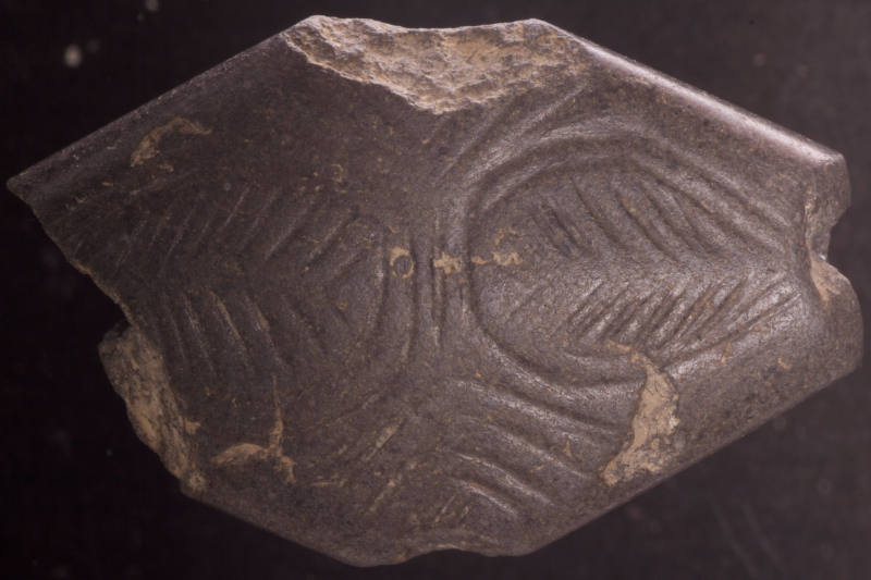 Courtesy of the Georges Ricard Foundation and the California Institute of World Archaeology