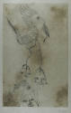 © Artist or artist's estate.  Image courtesy Michael C. Carlos Museum, Emory University.