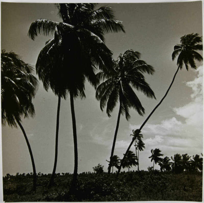 © Estate of Lou Stoumen.  Image courtesy Michael C. Carlos Museum, Emory University.