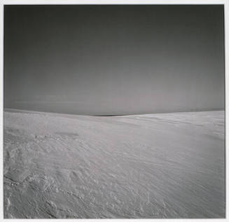 © Estate of Harry Callahan. Courtesy of Pace/MacGill Gallery, New York.  Photo © Bruce M. White ...