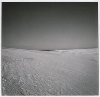 © Estate of Harry Callahan. Photo © Bruce M. White, 2006.