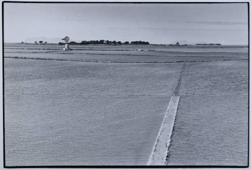 © Leonard Freed / Magnum Photos.  Image courtesy Michael C. Carlos Museum, Emory University.