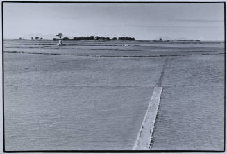 © Leonard Freed / Magnum Photos.  Image courtesy Michael C. Carlos Museum, Emory University.