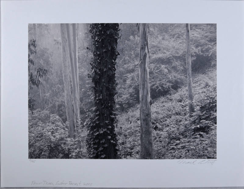 © Mark Citret.  Image courtesy Michael C. Carlos Museum, Emory University.