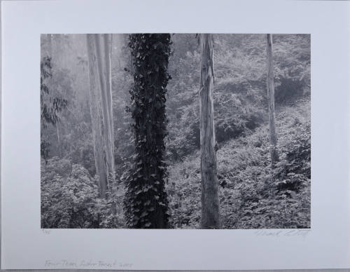 © Mark Citret.  Image courtesy Michael C. Carlos Museum, Emory University.