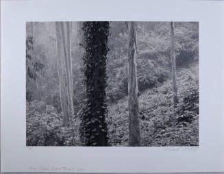 © Mark Citret.  Image courtesy Michael C. Carlos Museum, Emory University.