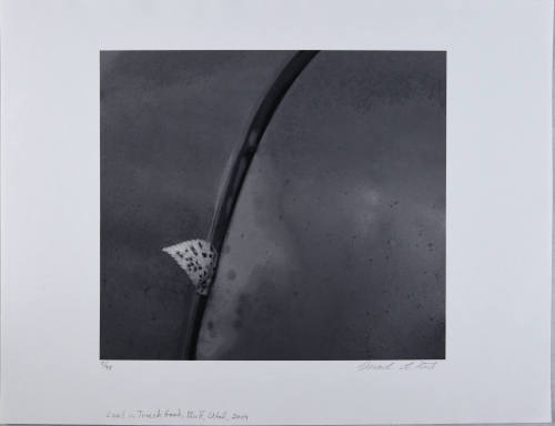 © Mark Citret.  Image courtesy Michael C. Carlos Museum, Emory University.