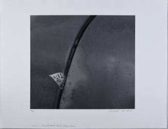© Mark Citret.  Image courtesy Michael C. Carlos Museum, Emory University.
