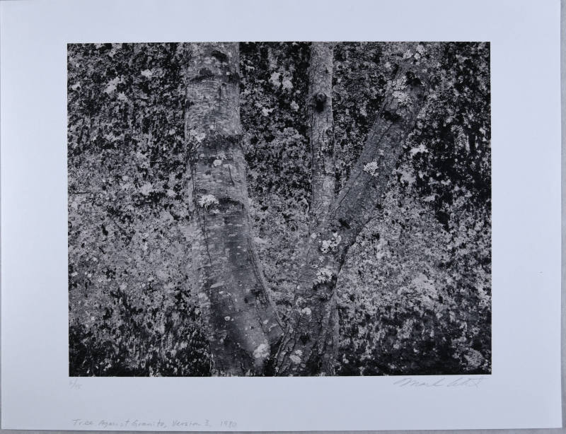 © Mark Citret.  Image courtesy Michael C. Carlos Museum, Emory University.