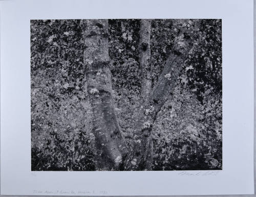 © Mark Citret.  Image courtesy Michael C. Carlos Museum, Emory University.