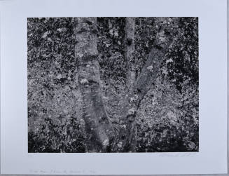 © Mark Citret.  Image courtesy Michael C. Carlos Museum, Emory University.