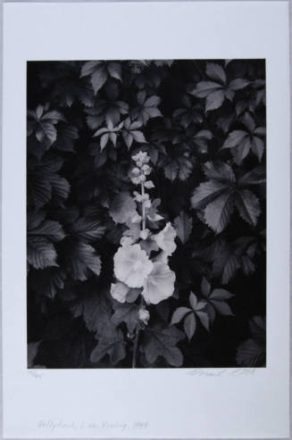© Mark Citret.  Image courtesy Michael C. Carlos Museum, Emory University.