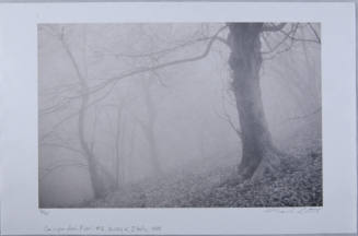 © Mark Citret.  Image courtesy Michael C. Carlos Museum, Emory University.
