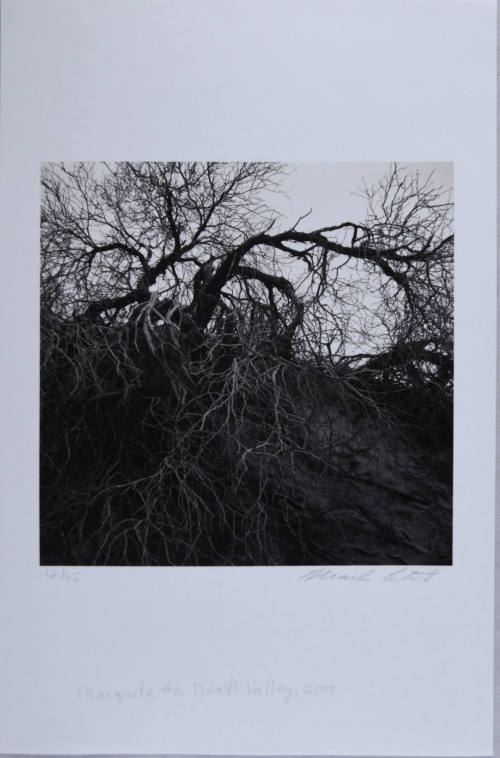 © Mark Citret.  Image courtesy Michael C. Carlos Museum, Emory University.