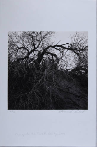 © Mark Citret.  Image courtesy Michael C. Carlos Museum, Emory University.