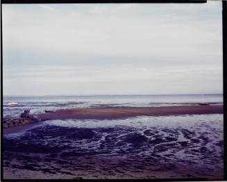 © Joel Meyerowitz.  Image courtesy Michael C. Carlos Museum, Emory University