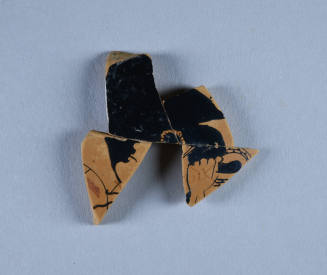 © Michael C. Carlos Museum, Emory University