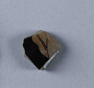 © Michael C. Carlos Museum, Emory University