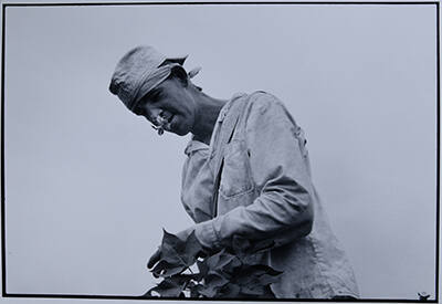 © Danny Lyon/Magnum Photos.  Image courtesy Michael. C. Carlos Museum, Emory University.