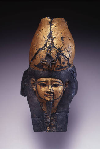 © Michael C. Carlos Museum, Emory University. Photo by Peter Harholdt.