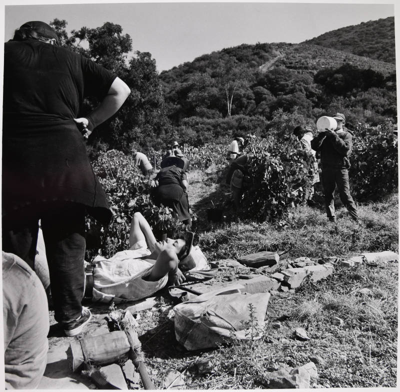 © Estate of Larry Fink.  Image courtesy Michael C. Carlos Museum, Emory University.