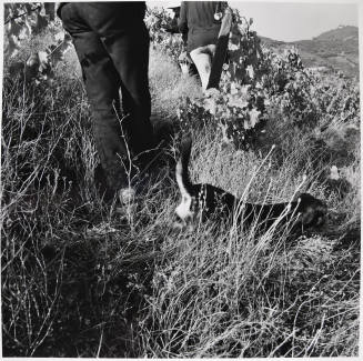 © Estate of Larry Fink.  Image courtesy Michael C. Carlos Museum, Emory University.
