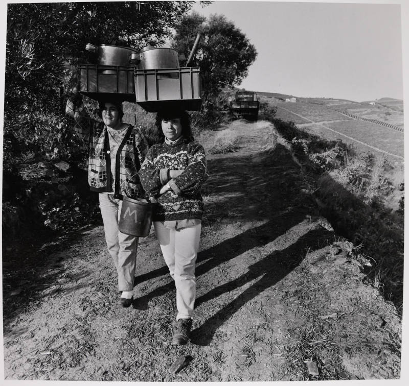 © Estate of Larry Fink.  Image courtesy Michael C. Carlos Museum, Emory University.