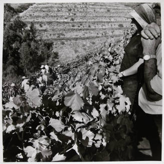 © Estate of Larry Fink.  Image courtesy Michael C. Carlos Museum, Emory University.