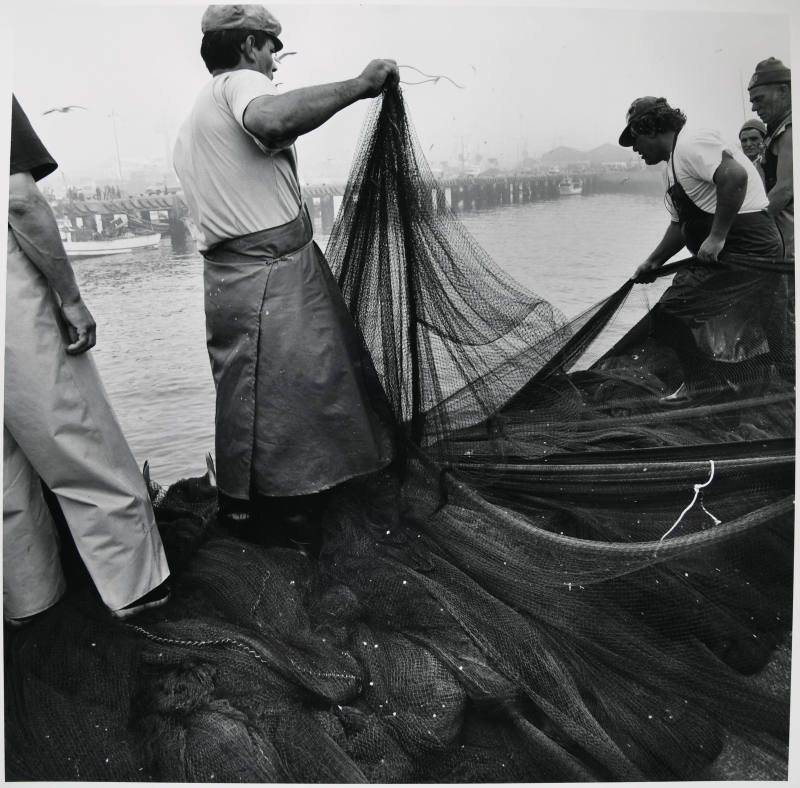© Estate of Larry Fink.  Image courtesy of Michael C. Carlos Museum, Emory University.