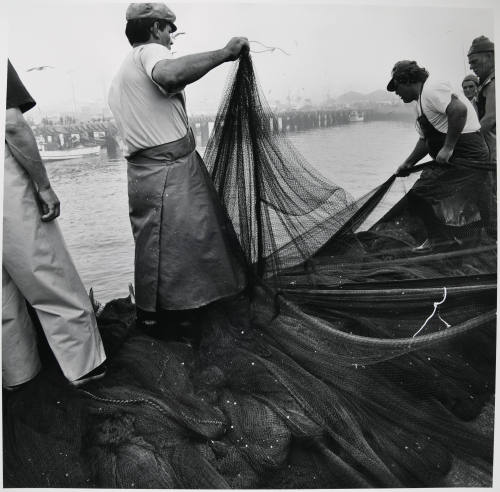© Estate of Larry Fink.  Image courtesy of Michael C. Carlos Museum, Emory University.