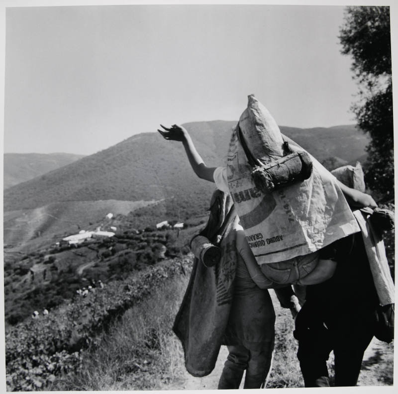 © Estate of Larry Fink.  Image courtesy of Michael C. Carlos Museum, Emory University.