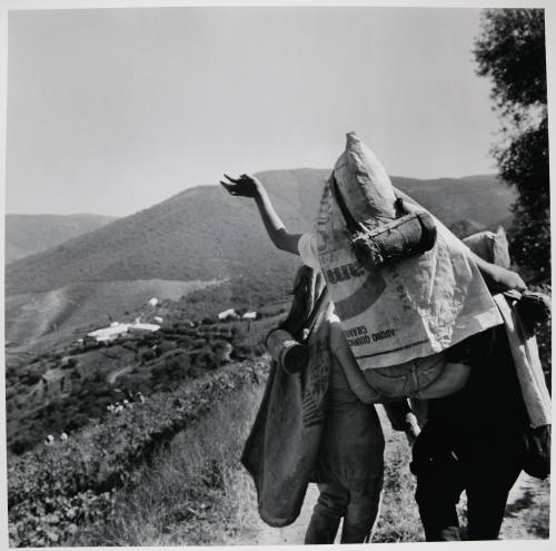 © Estate of Larry Fink.  Image courtesy of Michael C. Carlos Museum, Emory University.