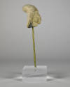 © Michael C. Carlos Museum, Emory University