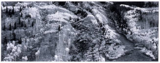 © Michael A. Smith Estate. Image courtesy of the Michael C. Carlos Museum, Emory University.  P ...
