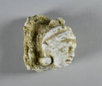 © Michael C. Carlos Museum, Emory University