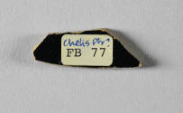 © Michael C. Carlos Museum, Emory University