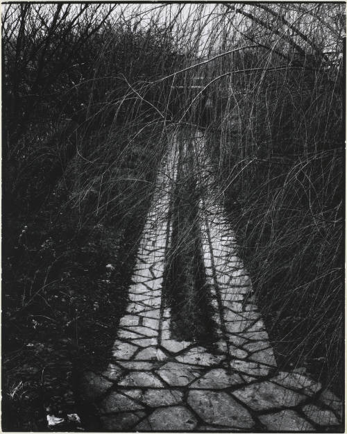 © Aperture Foundation, Inc., Paul Strand Archive. Image © Michael C. Carlos Museum, Emory Unive ...