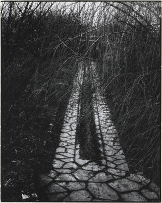 © Aperture Foundation, Inc., Paul Strand Archive. Image © Michael C. Carlos Museum, Emory Unive ...